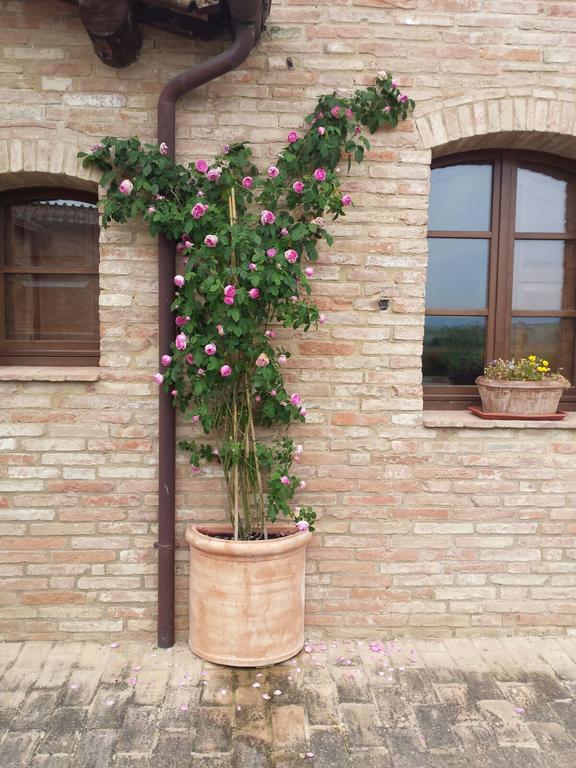 Casa Vacanze San Pierino Monteroni dʼArbia Exterior foto